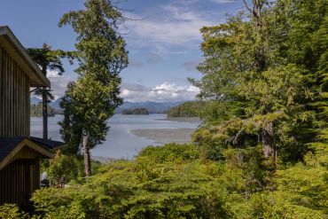 Jensens bay Tofino