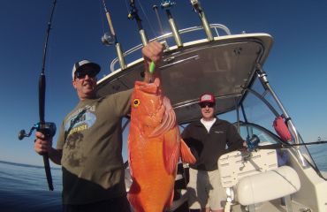 Yellow Eye Rockfish